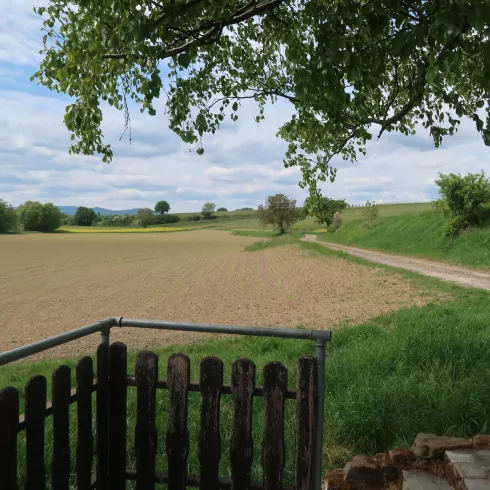 Blick Rastplatz Wassertretbecken Freckenfeld Blick Rastplatz Wassertretbecken Freckenfeld