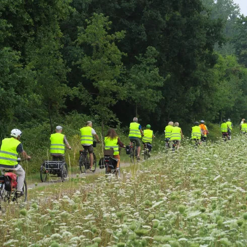 Radlergruppe am Waldrand unterwegs.