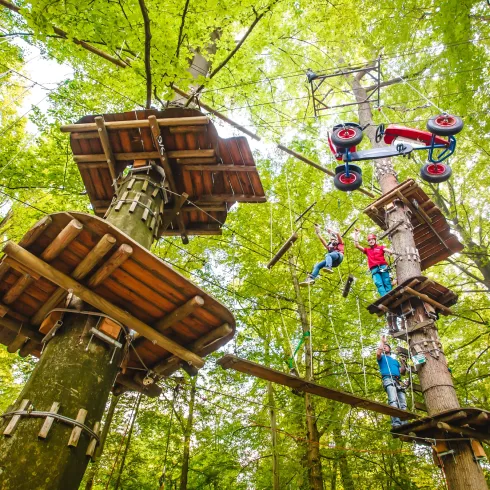 Spaß in den Baumwipfeln des Abenteuerparks