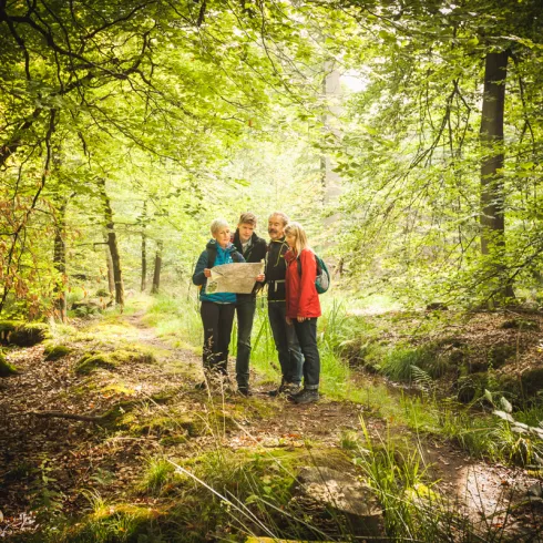 Wanderer studieren eine Karte bei einer Wanderung im Bienwald