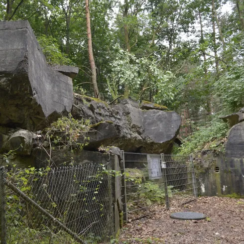 Befestigungsbauten am Westwallweg