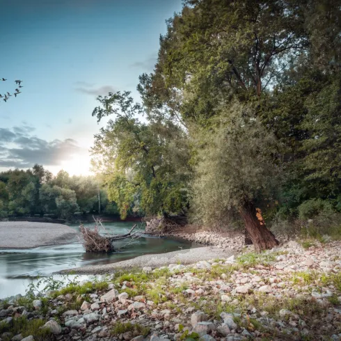 Sonnenaufgang am Altrhein bei Leimersheim