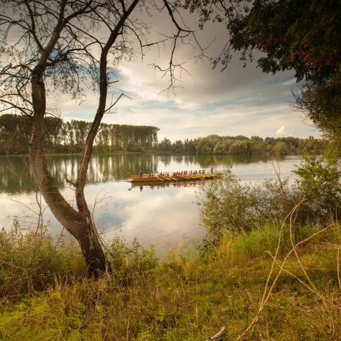 Römerschiff Lusoria Rhenana auf dem Altrheim bei Neupotz