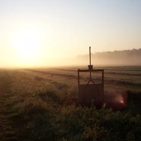 Holzwiesen im Morgendunst