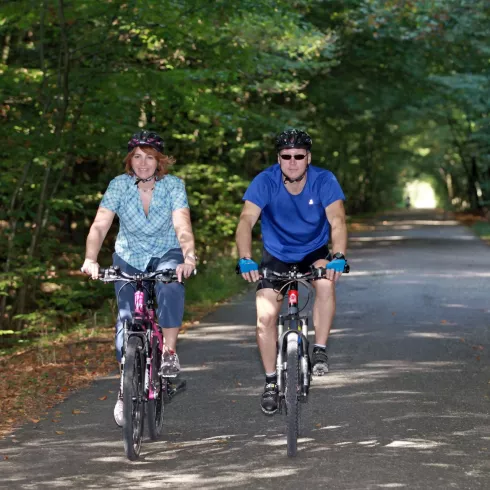 Zwei Radfahrer im Bienwald