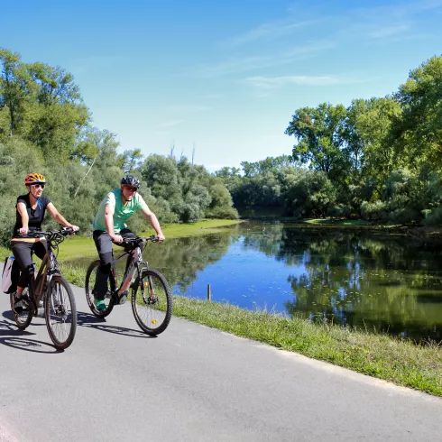 Radfahrer auf dem Rheinradweg