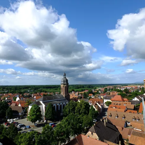 Blick auf Kandel