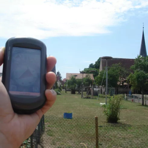 Geocaching - Knittelsheimer Storchencache