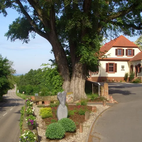 Rathaus mit Ulme in MInfeld 