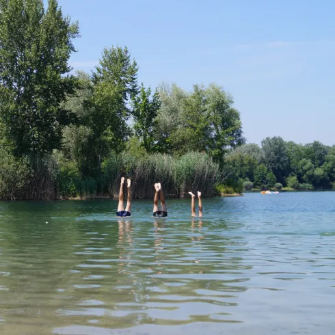 Baggersee Jockgrim - eintauchen