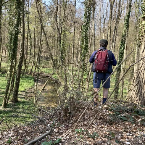 Wandern auf dem Otterbachbruch Wanderweg