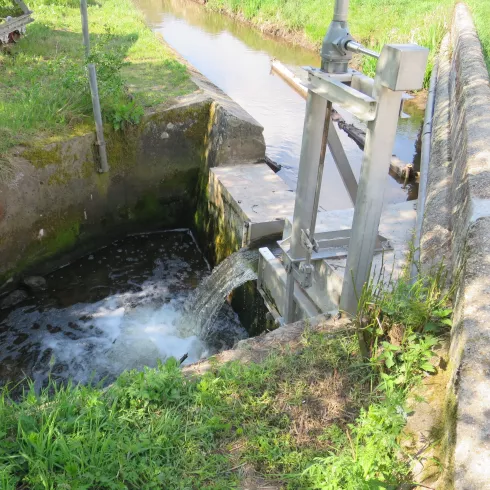 der "Buweabloss" in Zeiskam