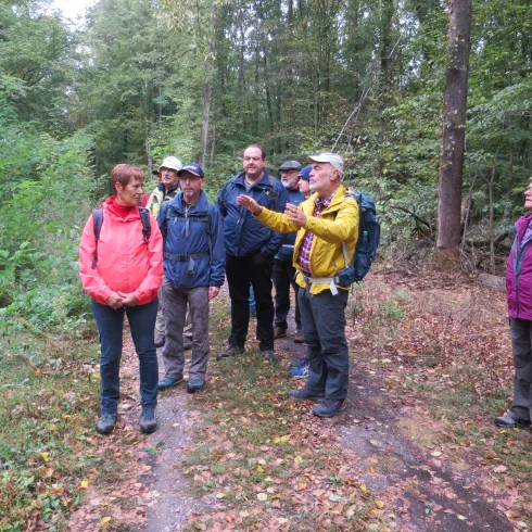 geführte Wandergruppe im Wald