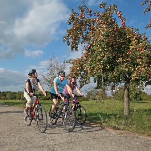 Radfahren