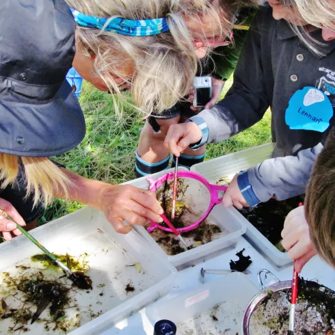 Kinder erforschen mit Sieben und Lupen Algen und Wasserpflanzen in Plastikwannen