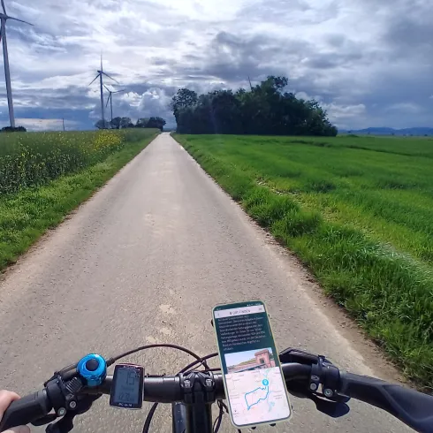 Lenker eines Fahrrades mit Handy