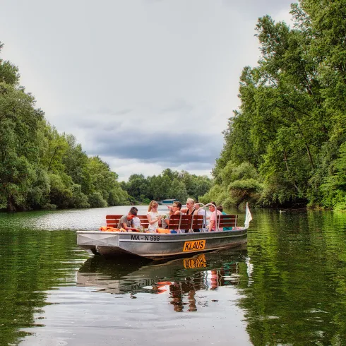 Ein Nachen mit mehreren Menschen gleitet über den idyllischen Altrhein