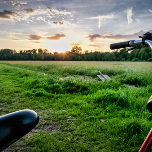 Radfahren durch die Queichwiesen