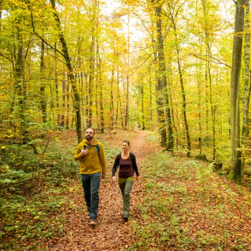 Ein Pärchen wandert durch den herbstlichen Bienwald